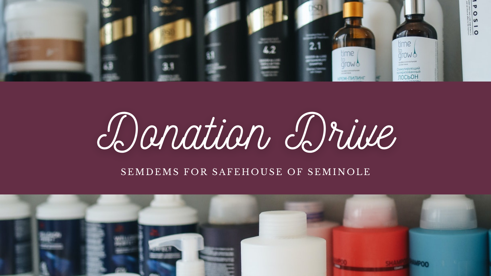 SemDems Donation Drive for SafeHouse of Seminole