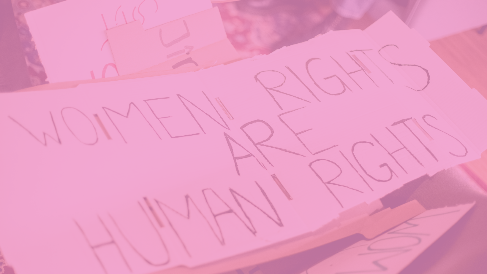 Women's Rights are Human Rights Sign | Abortion Petition