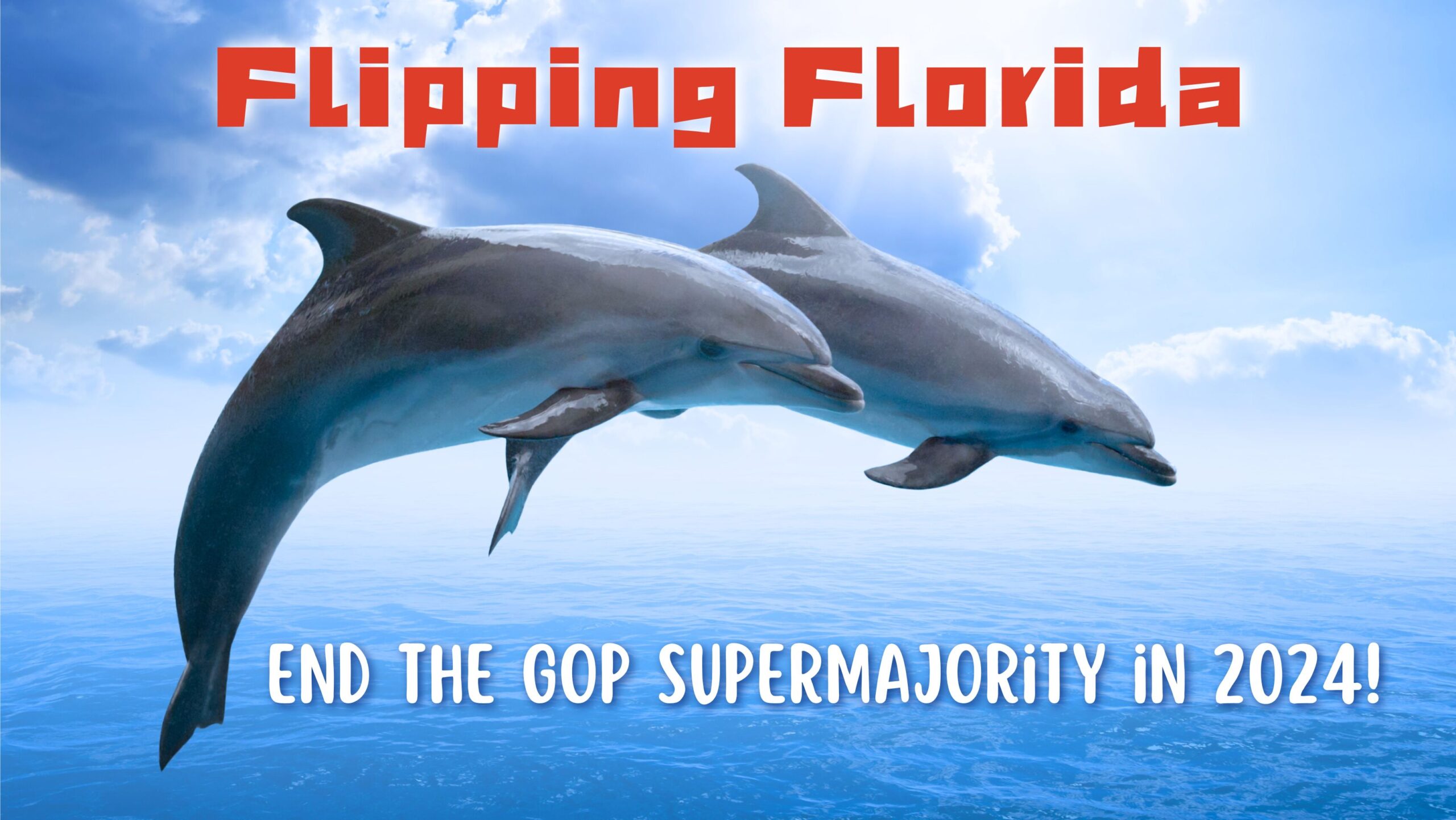 Flipping Florida Two dolphins leaping out of the ocean