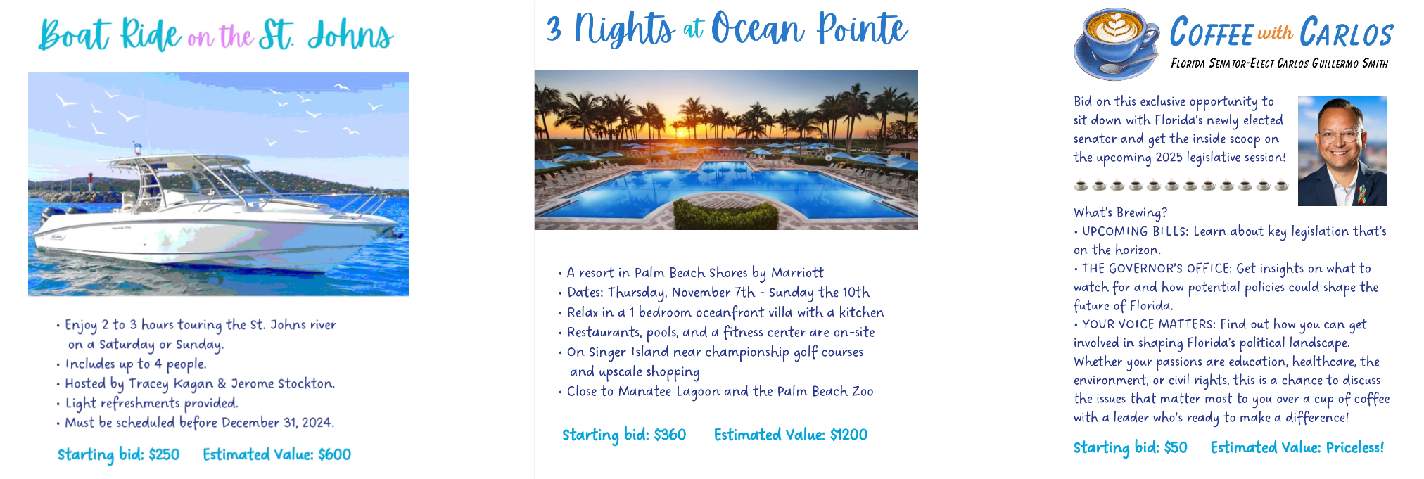 IMG_5989 Silent Auction items such as a boat ride, hotel stay, or coffee with a state senator-elect