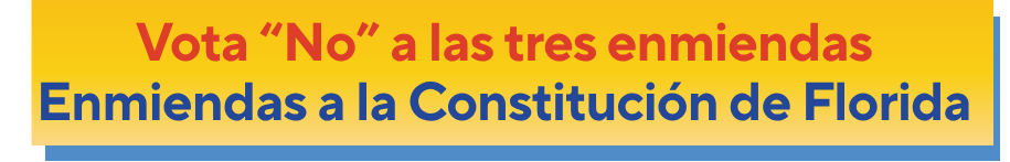 Vota no Seminole County Democratic Party